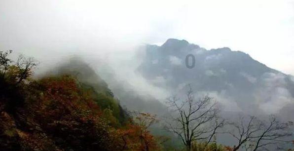 探索未知,畅谈智慧——有什么好看的丧尸电影呀?蜗牛问答平台